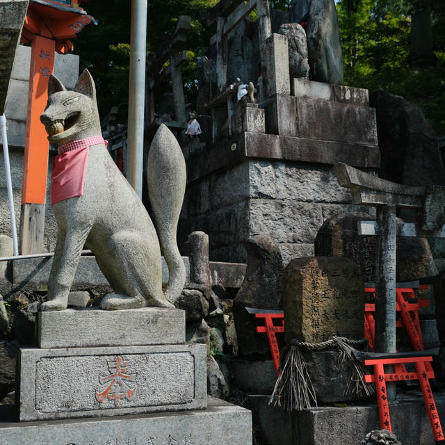 2024/09 Japan photo 9